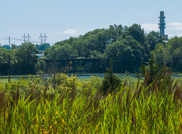View over wetlands, Waters River, from MGH Danvers