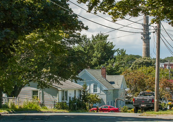 Single-family homes on tree-shaded street